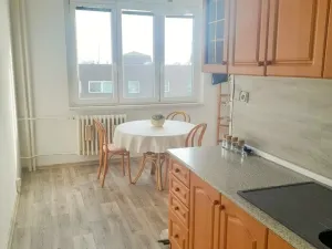 Pronájem bytu 1+1, Mariánské Lázně - Úšovice, Havlíčkova, 48 m2