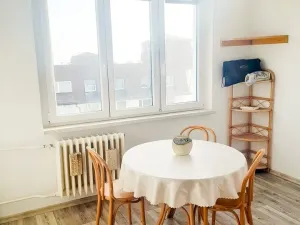 Pronájem bytu 1+1, Mariánské Lázně - Úšovice, Havlíčkova, 48 m2