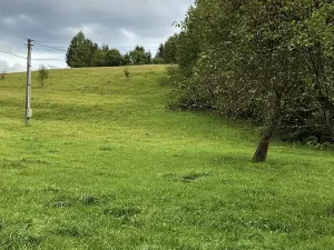 Prodej rodinného domu, Hlavice, 330 m2