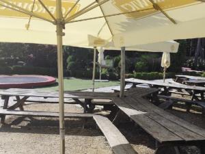 Pronájem restaurace, Praha - Horní Měcholupy, K Měcholupům, 60 m2