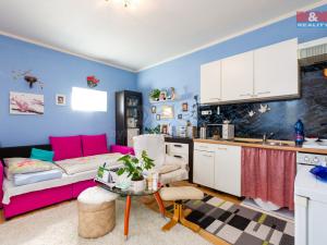 Prodej rodinného domu, Horka nad Moravou, Míru, 240 m2