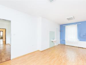 Prodej rodinného domu, Mladá Vožice, Husovo náměstí, 232 m2