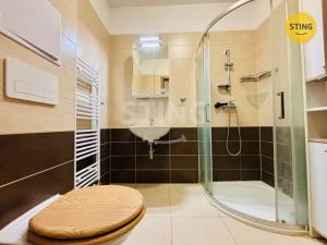 Pronájem bytu 1+kk, Chrudim, Na Špici, 35 m2