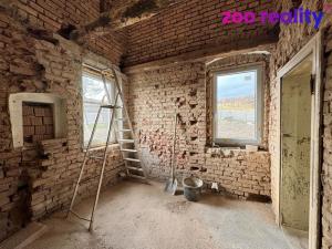 Prodej rodinného domu, Stružná - Horní Tašovice, 665 m2