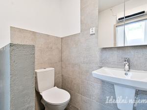 Pronájem bytu 1+kk, Troubsko, U rybníka, 65 m2