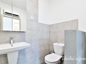 Pronájem bytu 1+kk, Troubsko, U rybníka, 50 m2