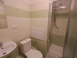 Pronájem bytu 2+kk, Hrádek nad Nisou, Liberecká, 35 m2