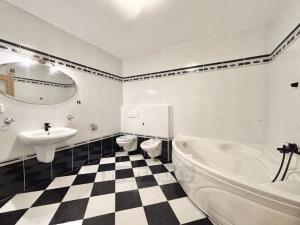 Pronájem bytu 3+kk, České Budějovice - České Budějovice 1, Plachého, 112 m2