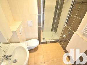 Prodej bytu 1+1, Toužim, Plzeňská, 38 m2