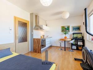 Prodej bytu 1+kk, Říčany, Purkyňova, 28 m2