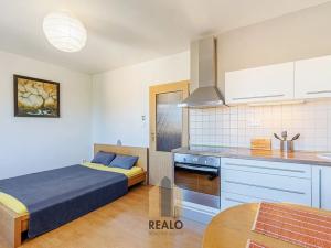 Prodej bytu 1+kk, Říčany, Purkyňova, 28 m2