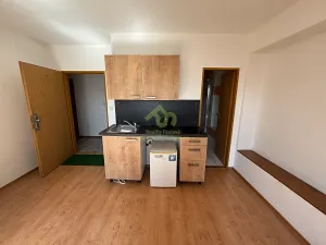 Pronájem bytu 1+kk, Plzeň, Lindauerova, 26 m2