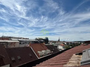 Pronájem bytu 1+kk, Plzeň, Lindauerova, 26 m2