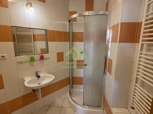Pronájem bytu 1+kk, Plzeň, Lindauerova, 26 m2
