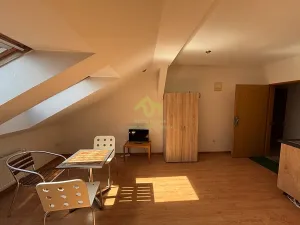 Pronájem bytu 1+kk, Plzeň, Lindauerova, 26 m2