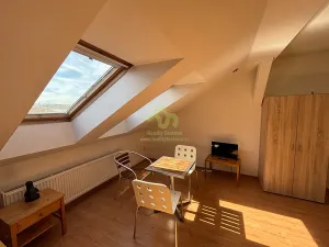 Pronájem bytu 1+kk, Plzeň, Lindauerova, 26 m2