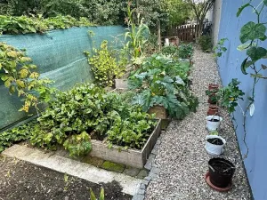 Pronájem bytu 2+kk, Pardubice, 45 m2