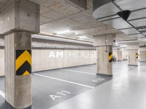 Pronájem bytu 2+kk, Praha - Žižkov, Olgy Havlové, 50 m2