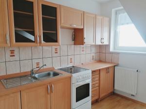 Pronájem bytu 1+kk, Opatovice nad Labem, Smetanova, 42 m2