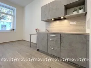 Pronájem bytu 1+kk, Pardubice, Sladkovského, 31 m2
