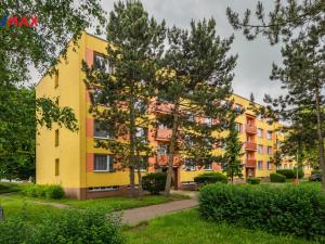Pronájem bytu 2+1, Hradec Králové, Milady Horákové, 64 m2