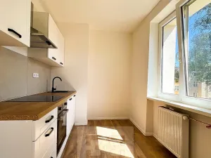 Pronájem bytu 2+1, Ústí nad Labem, 52 m2