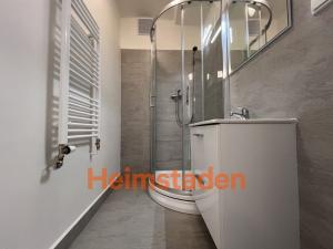 Pronájem bytu 1+1, Ostrava - Poruba, 17. listopadu, 41 m2