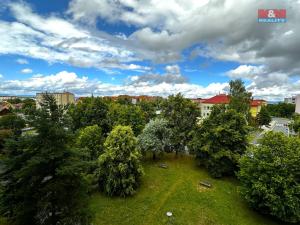 Pronájem bytu 3+1, Cheb, Osvobození, 73 m2