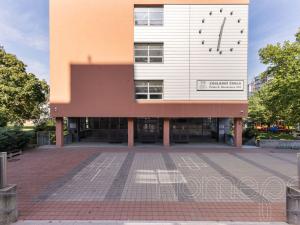 Pronájem bytu 3+1, Praha, Hviezdoslavova, 55 m2