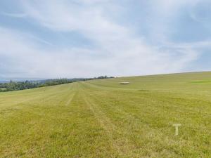 Prodej pozemku pro bydlení, Velenov, 12680 m2