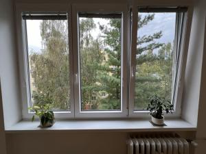 Pronájem bytu 2+1, Praha - Dejvice, Kafkova, 53 m2