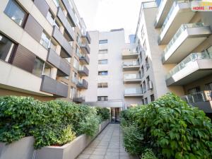 Prodej bytu 4+kk, Praha - Žižkov, Prokopova, 237 m2
