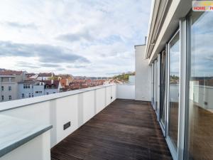 Prodej bytu 4+kk, Praha - Žižkov, Prokopova, 237 m2