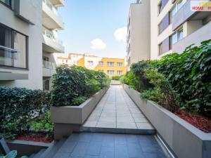 Prodej bytu 4+kk, Praha - Žižkov, Prokopova, 237 m2