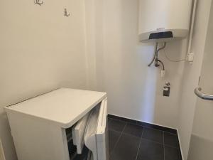 Pronájem bytu 1+kk, Brno - Černá Pole, Krkoškova, 22 m2