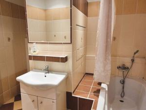 Prodej bytu 2+1, Šumperk, Pod Senovou, 43 m2
