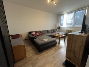 Pronájem bytu 1+1, Ostrava, Josefa Kotase, 36 m2