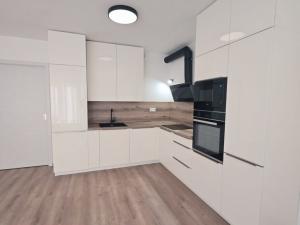 Pronájem bytu 1+kk, Plzeň - Východní Předměstí, Slovanská, 49 m2