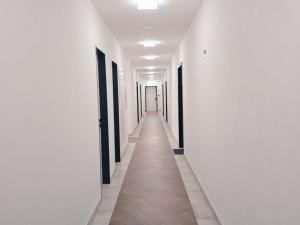 Pronájem bytu 1+kk, Plzeň - Východní Předměstí, Slovanská, 49 m2