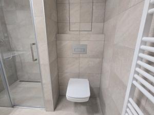 Pronájem bytu 1+kk, Plzeň - Východní Předměstí, Slovanská, 49 m2