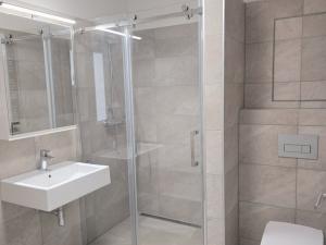 Pronájem bytu 1+kk, Plzeň - Východní Předměstí, Slovanská, 49 m2