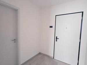 Pronájem bytu 1+kk, Plzeň - Východní Předměstí, Slovanská, 49 m2