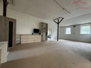Pronájem výrobních prostor, Březno - Střezov, 1200 m2