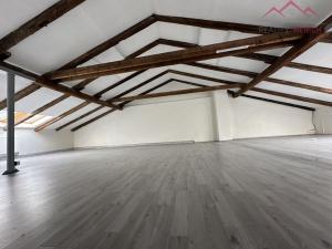 Pronájem výrobních prostor, Březno - Střezov, 1200 m2