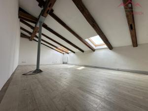 Pronájem výrobních prostor, Březno - Střezov, 1200 m2