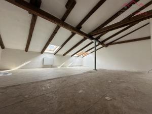 Pronájem výrobních prostor, Březno - Střezov, 1200 m2