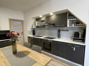 Pronájem bytu 3+kk, Chomutov, Ruská, 72 m2