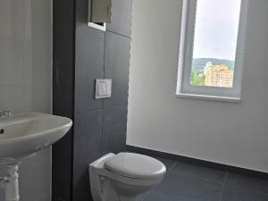 Pronájem bytu 1+kk, Chomutov, Žižkovo náměstí, 35 m2
