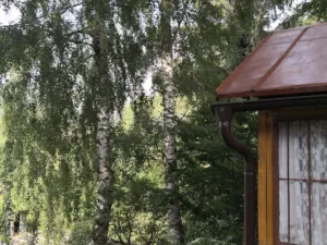 Prodej zahrady, Jihlava - Pístov, 750 m2