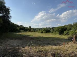 Prodej pozemku pro bydlení, Velemyšleves - Minice, 2241 m2